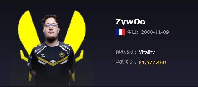 Vitality（小蜜蜂）战队2025最新成员资料、详细介绍